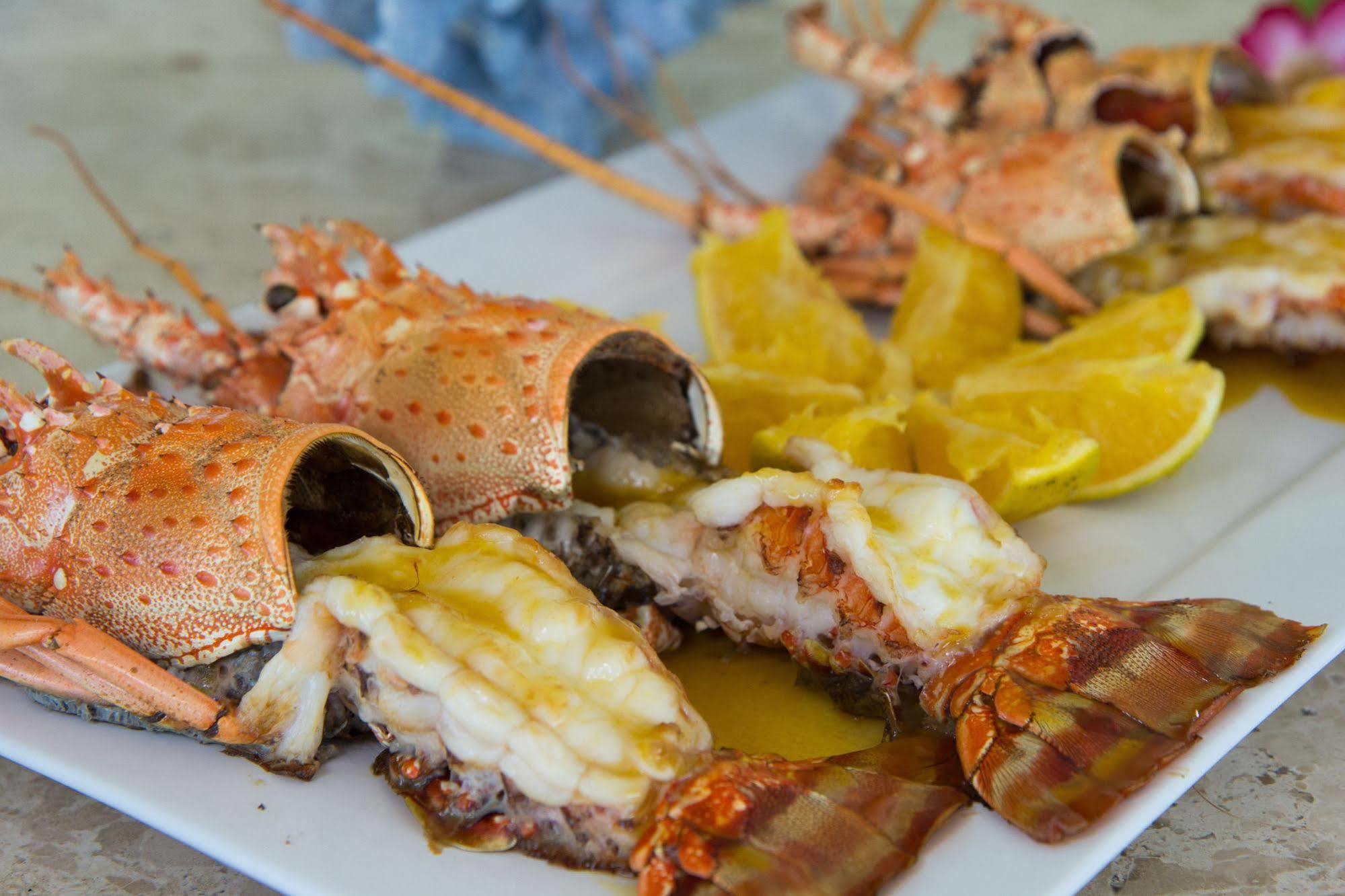Barra de Santo Antônio Pousada Jirituba מראה חיצוני תמונה