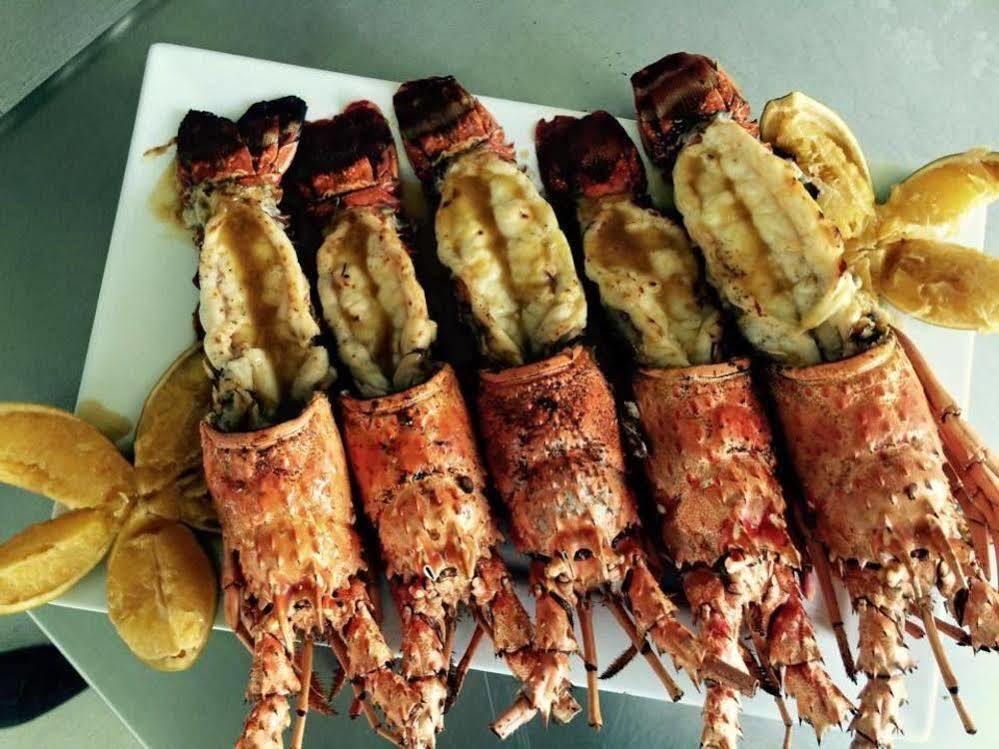 Barra de Santo Antônio Pousada Jirituba מראה חיצוני תמונה